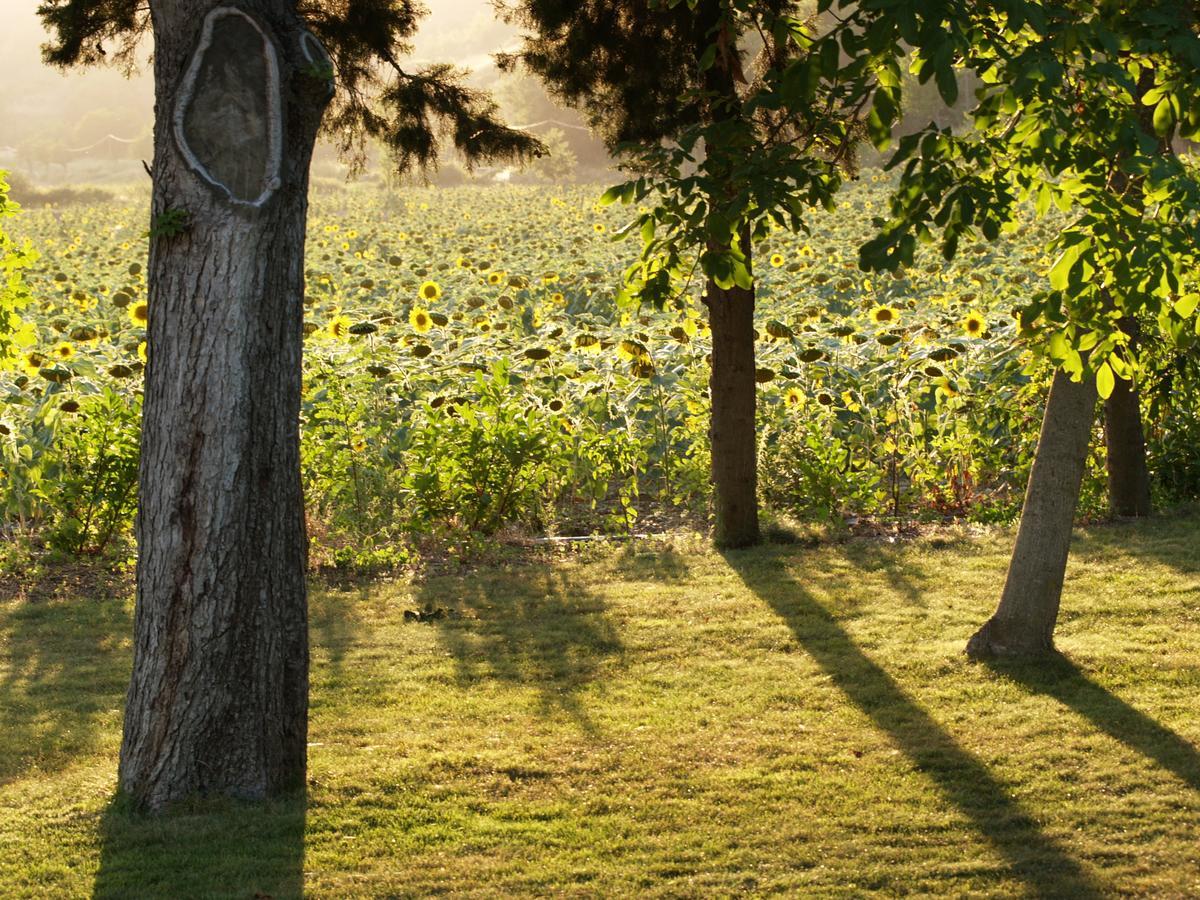 Domaine De Luzenac Bed & Breakfast Val-du-Faby Ngoại thất bức ảnh